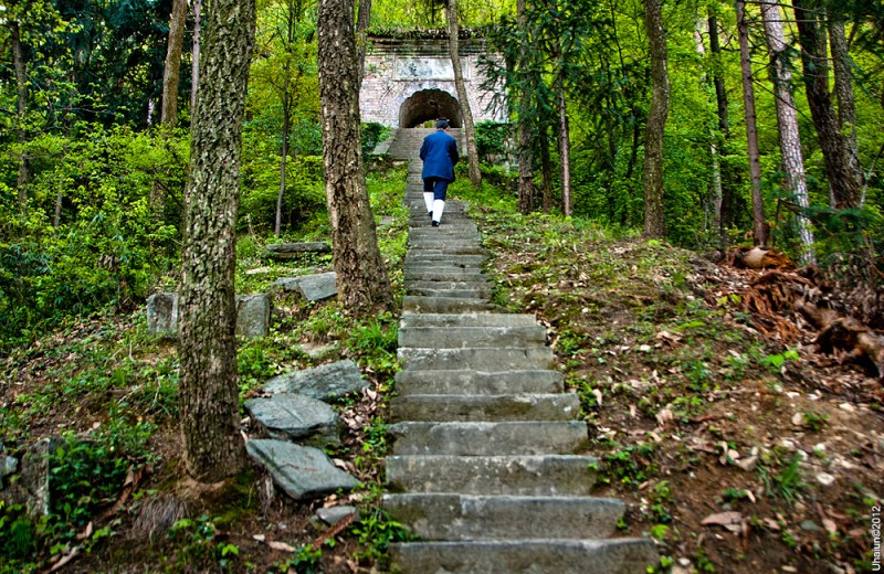 wudang41