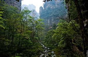 zhangjiajie27