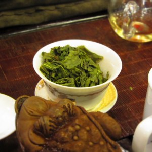 autumn-2012 tieguanyin-500