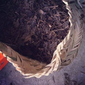 271148_511913665504754_213281244_n