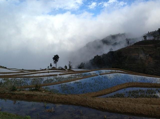 1393679_733496800013105_392616199_n