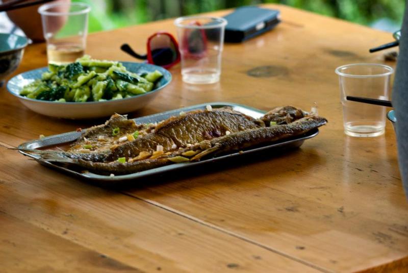 488300_457037274318910_827461939_n