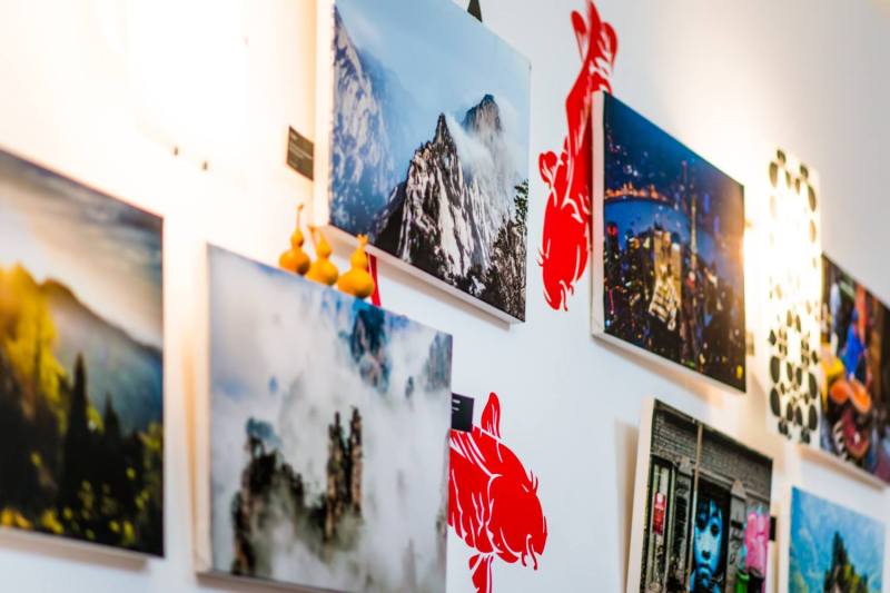 1496028_10152058319233904_483216174_o