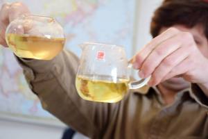 10351252_10153057718134396_1036581248981286058_n