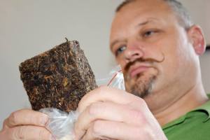 10896914_10153057783994396_871393365381081751_n