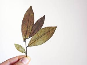 10917313_10153056155714396_8847593217986954299_n