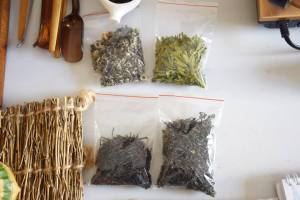 10931336_10153056152344396_3705854057938148459_n