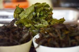 10940624_10153069797364396_9205724812321697708_n