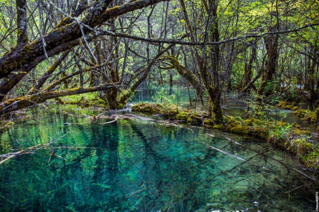 Цзючжайгоу