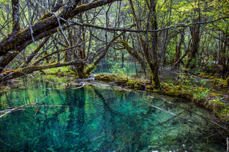 Цзючжайгоу