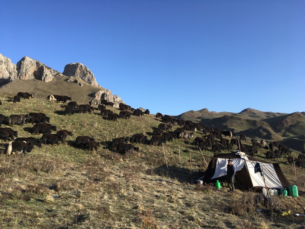 Двухдневный трек к тибетским&nbsp;кочевникам